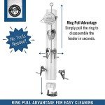 Droll Yankees Classic Bird Feeder with 6 Stations