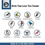 Droll Yankees Classic Bird Feeder with 6 Stations