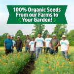 Heirloom Organic Non-GMO Seed Assortment, 30ct