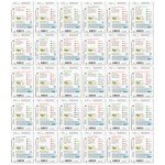 Heirloom Organic Non-GMO Seed Assortment, 30ct