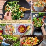 Heirloom Vegetable and Fruit Seeds Variety Pack