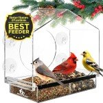 Gray Bunny Window Bird Feeder with Suction Cups