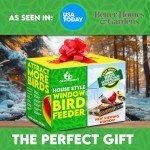 Gray Bunny Window Bird Feeder with Suction Cups