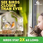 Gray Bunny Window Bird Feeder with Suction Cups