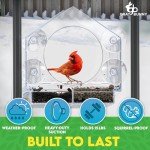 Gray Bunny Window Bird Feeder with Suction Cups