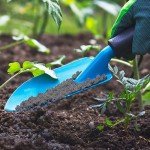 Jobe’s Organics Vegetable & Tomato Fertilizer, 4 lb