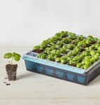 Burpee SuperSeed 36-Cell Seed Starter Tray