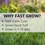 Jonathan Green Fast Grow Grass Seed Mix - 3 lbs