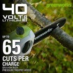 Greenworks 40V 8" Pole Saw and Hedge Trimmer