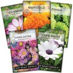 Annual Flower Seed Collection - 5 Packets