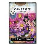 Annual Flower Seed Collection - 5 Packets