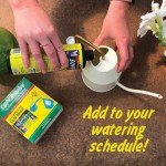 Superthrive Hydrogarden Plant Nutrient Solution - 1 Pint