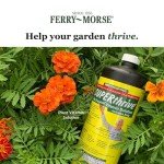 Superthrive Hydrogarden Plant Nutrient Solution - 1 Pint