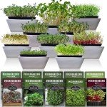 Microgreens Seed Pack - Grow 10 Varieties at Home