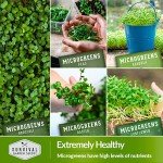 Microgreens Seed Pack - Grow 10 Varieties at Home