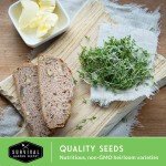 Microgreens Seed Pack - Grow 10 Varieties at Home