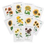 Sunflower Seeds Collection (10-Pack) – Non-GMO