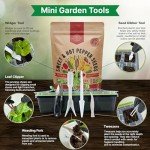 14 Varieties of Non-GMO Sweet & Hot Pepper Seeds