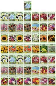 50 Pack Flower Seeds - 15+ Varieties!