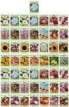 50 Pack Flower Seeds - 15+ Varieties!