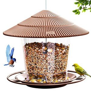 Squirrel-Proof Hanging Bird Feeder for Wild Birds