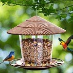 Squirrel-Proof Hanging Bird Feeder for Wild Birds