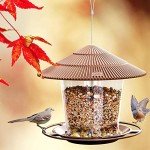 Squirrel-Proof Hanging Bird Feeder for Wild Birds