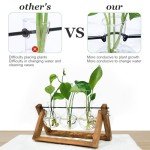 RENMXJ Plant Propagation Station with 3 Bulb Vases