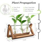 RENMXJ Plant Propagation Station with 3 Bulb Vases