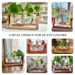 RENMXJ Plant Propagation Station with 3 Bulb Vases