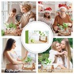 RENMXJ Plant Propagation Station with 3 Bulb Vases