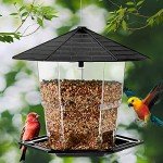 Hanging Black Bird Feeder for Wild Birds