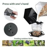 Hanging Black Bird Feeder for Wild Birds
