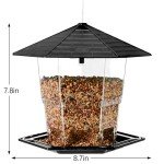Hanging Black Bird Feeder for Wild Birds