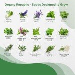 Herb Seeds Variety Pack for Garden Enthusiasts