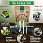 Herb Seeds Variety Pack for Garden Enthusiasts