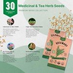 Herb Seeds Variety Pack for Garden Enthusiasts
