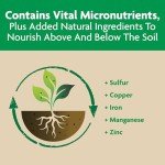 Miracle-Gro Shake 'N Feed Plant Food for Vegetables