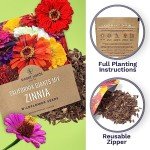 California Giants Zinnia Seeds - 1 Ounce Packet