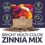 California Giants Zinnia Seeds - 1 Ounce Packet
