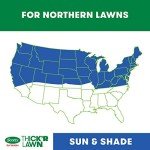 Scotts Turf Builder Lawn Grass Seed & Fertilizer
