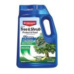 BioAdvanced 12 Month Insect Control for Trees & Shrubs