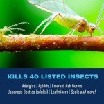 BioAdvanced 12 Month Insect Control for Trees & Shrubs