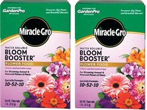 Miracle-Gro Bloom Booster Fertilizer, 10-52-10, 1 lb