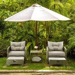 Pamapic 5-Piece Outdoor Wicker Chair Set