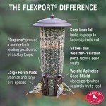 Squirrel-Proof Large Wild Bird Feeder - 4LB Capacity