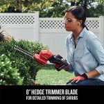 V20 Cordless Grass and Mini Hedge Trimmer Kit