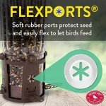 Squirrel-Proof Large Wild Bird Feeder - 4LB Capacity