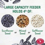 Squirrel-Proof Large Wild Bird Feeder - 4LB Capacity