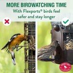 Squirrel-Proof Large Wild Bird Feeder - 4LB Capacity